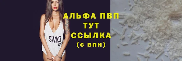 стаф Вязники