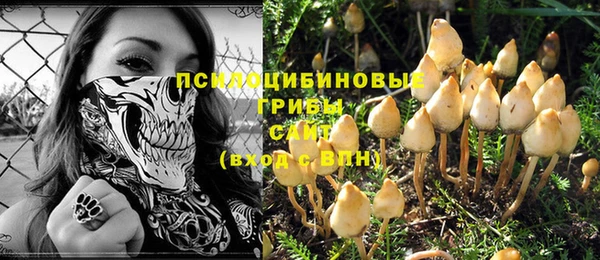 стаф Вязники